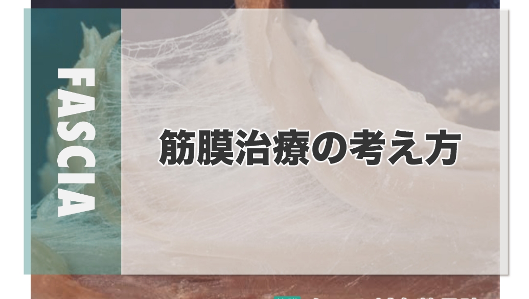 筋膜治療の考え方